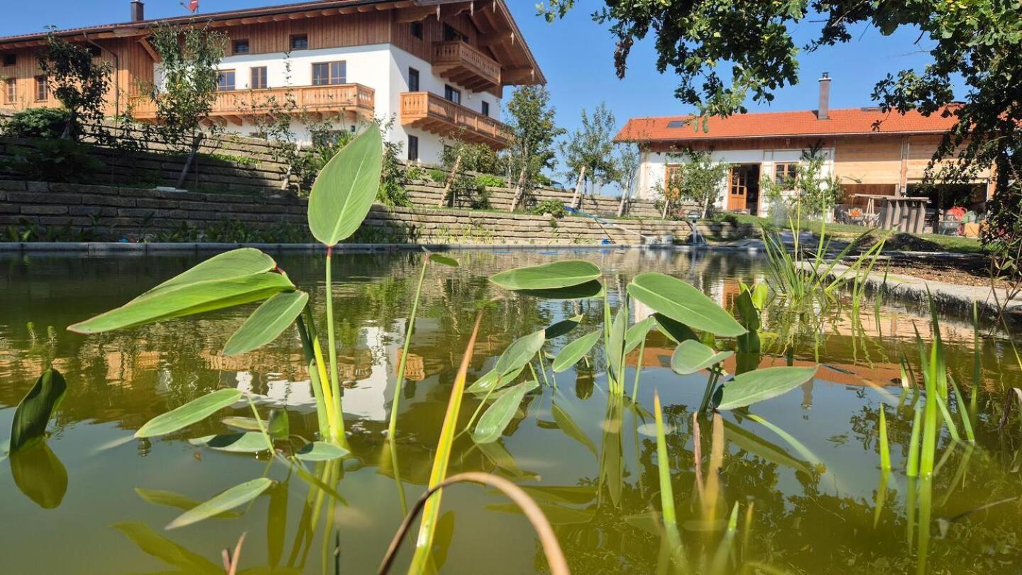 Fembacher Alm Seeon Seebruck Bagian luar foto